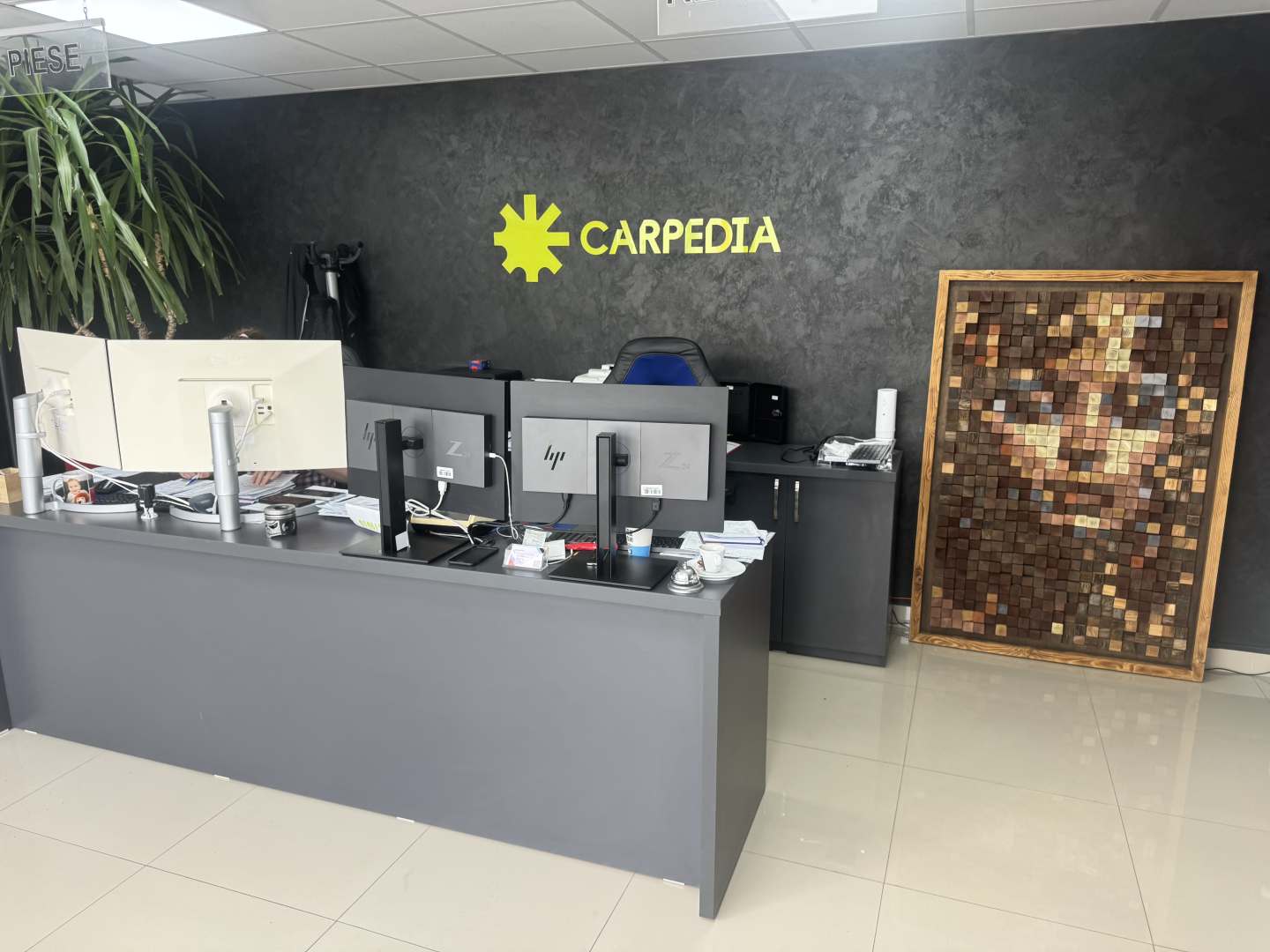 Receptia Carpedia Auto Center